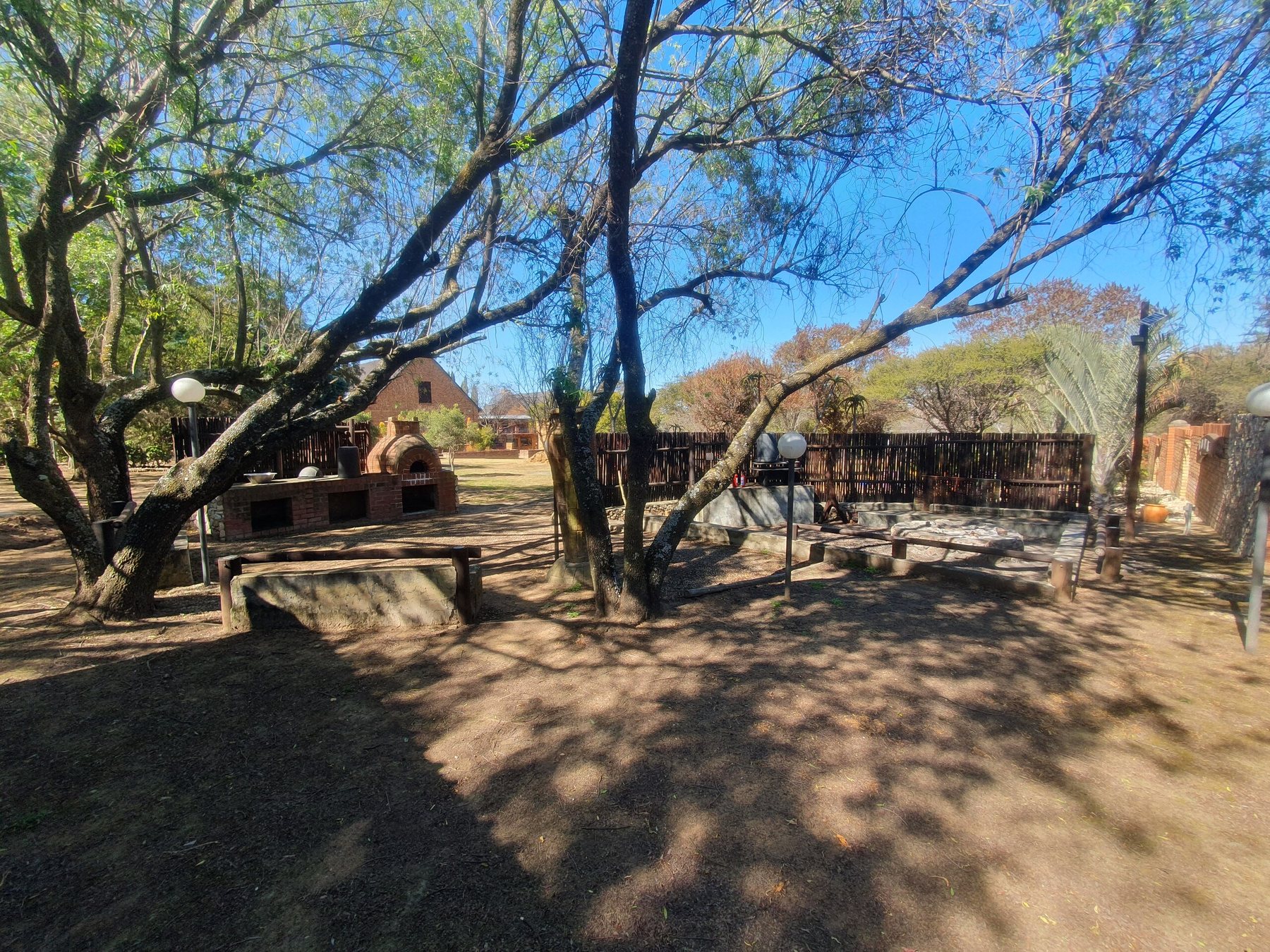 Under the trees