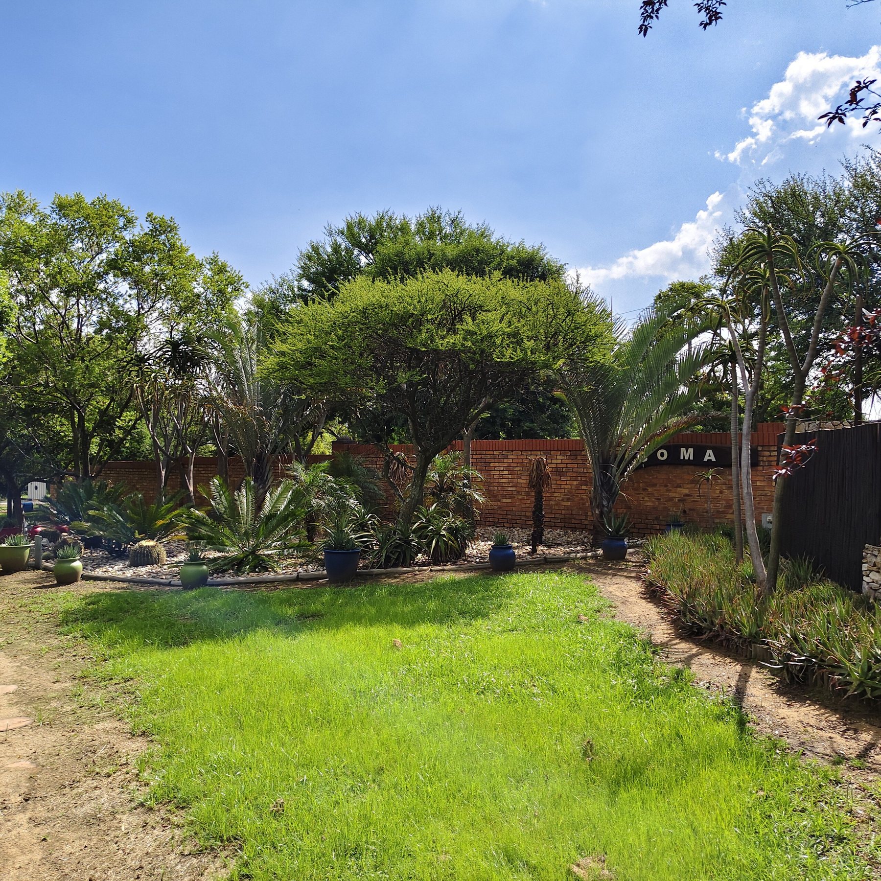 The garden