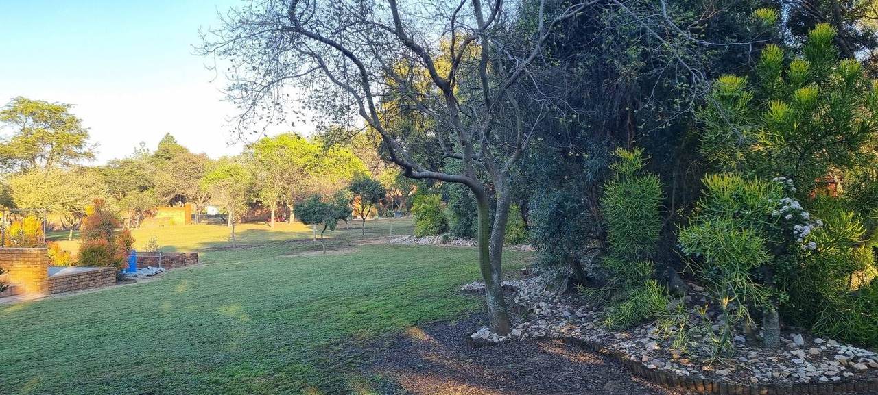 Lawn at golden hour