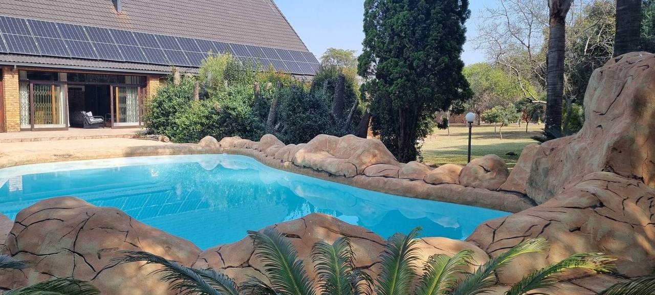 Pool framed by palms
