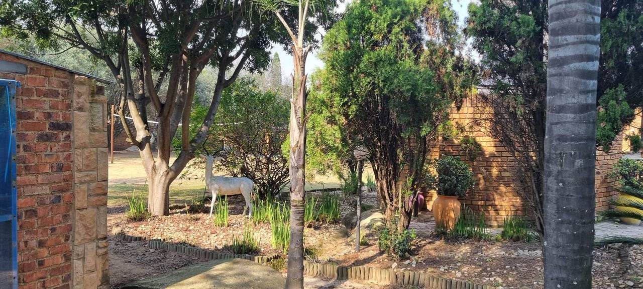 Garden with springbok statue