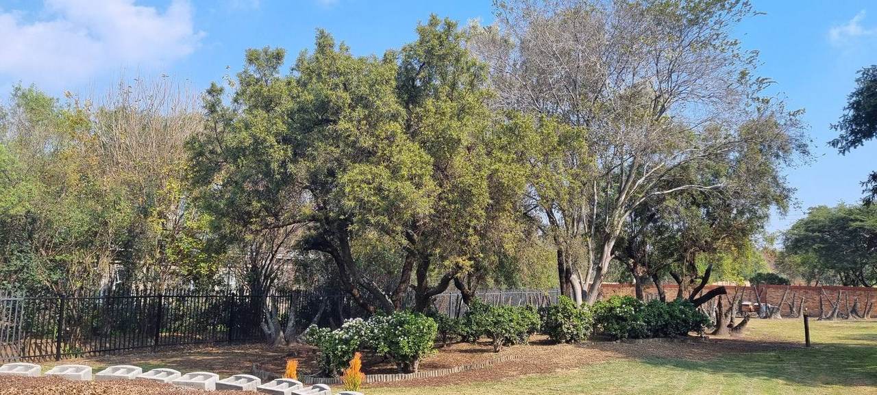 Sprawling garden trees
